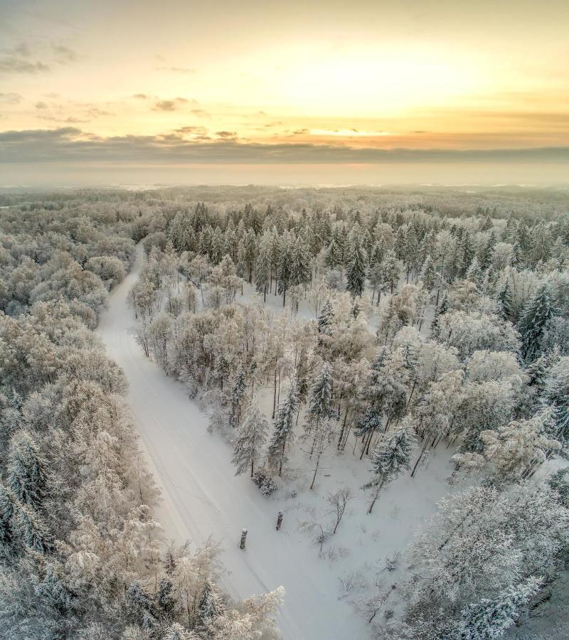 Kaeaeriku Team Cabin Villa Otepää Екстериор снимка